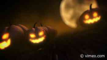 Ook in Landsmeer gaat Halloween op 31 oktober gevierd worden