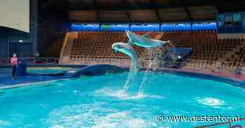 Succes voor Dolfinarium: staatssecretaris mocht in twee gevallen geen dwangsom opleggen