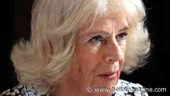 Queen Camilla expresses 'sadness' in emotional solo message amid 'time of sorrow'