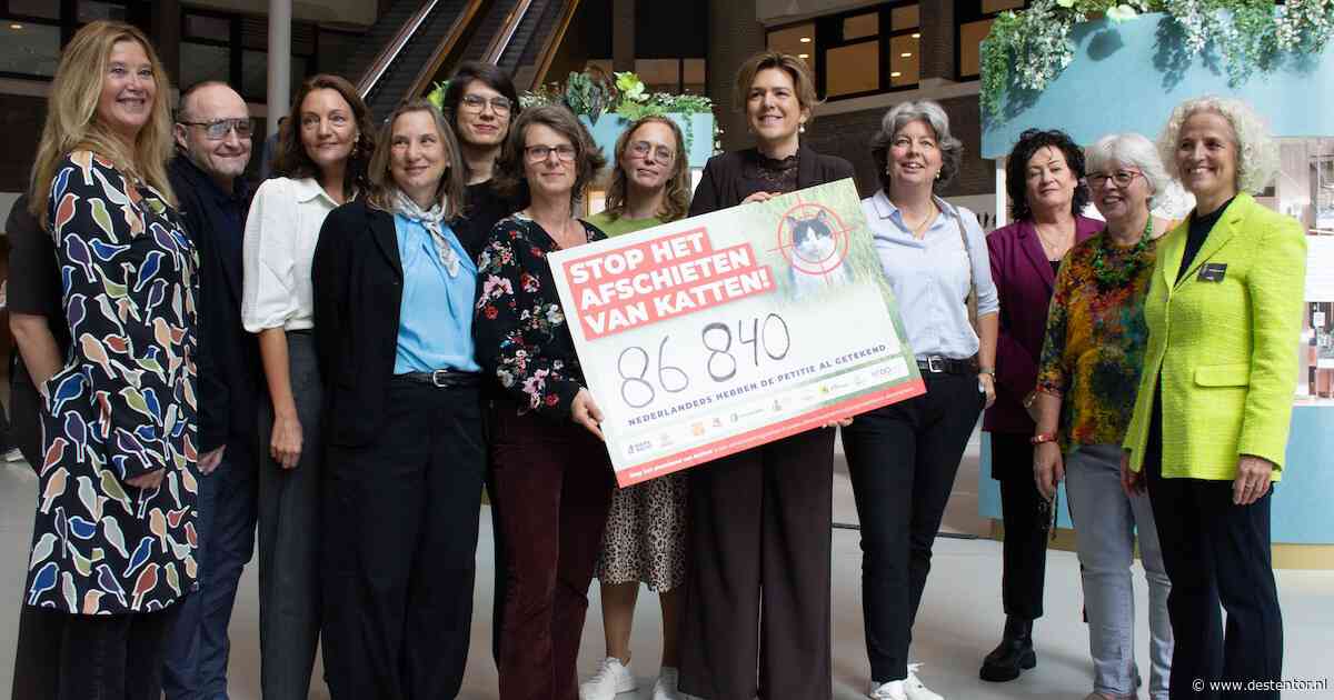 Petitie tegen doden zwerfkatten overhandigd aan Tweede Kamer: ‘Het moet gewoon stoppen’