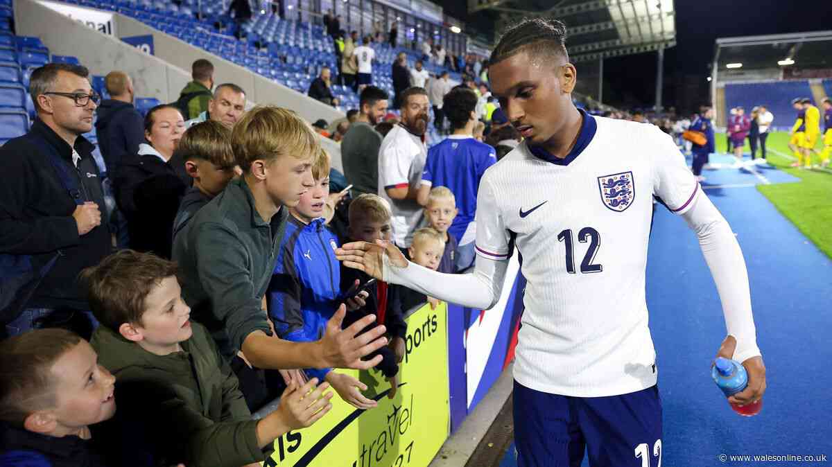 Dead Cardiff City star's son breaks silence on tragedy and the claims he's still alive