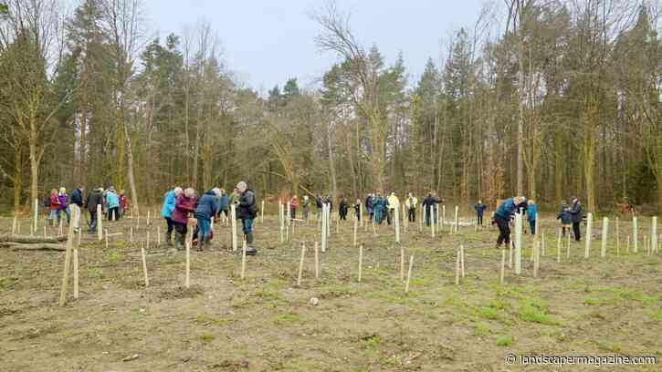 The Tree Council Reopens National Highways Community Trees Programme