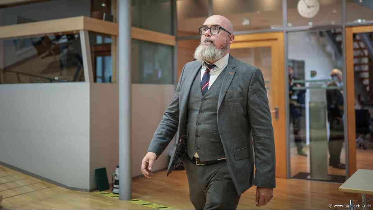 Sachsen-Anhalt: AfD stellt mit Tillschneider auch Landtagsvizepräsident