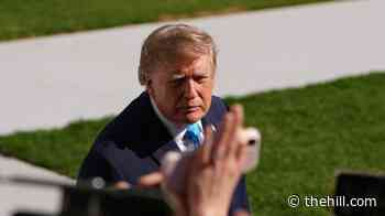 86 percent think taxpayer-funded, campaign-style Trump ads inappropriate: Survey