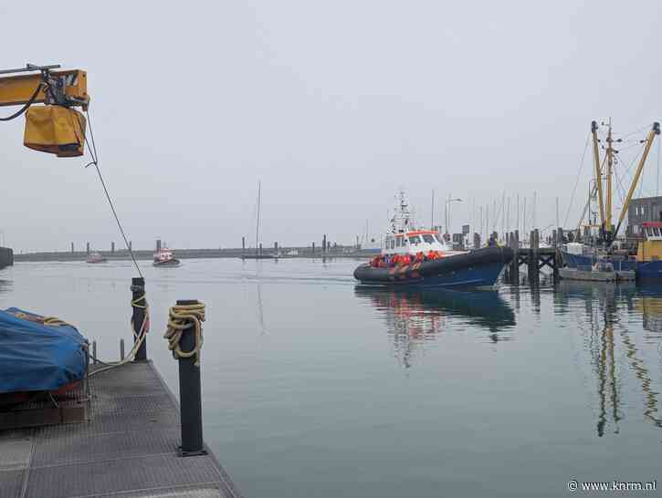 Zeehondentocht loopt vast op zandbank
