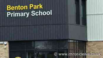 Which Newcastle primary schools reported Hepatitis A cases?