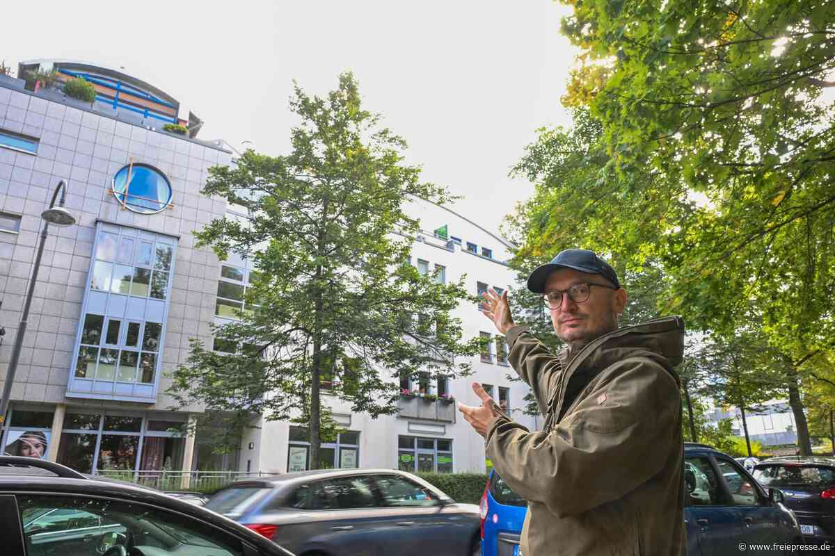 Sorge um Chemnitzer Bäume: Umweltschützer laufen Sturm gegen neue Pläne