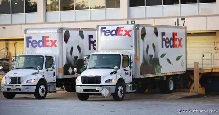 Here's when Zoo Atlanta's new giant pandas will make their debut