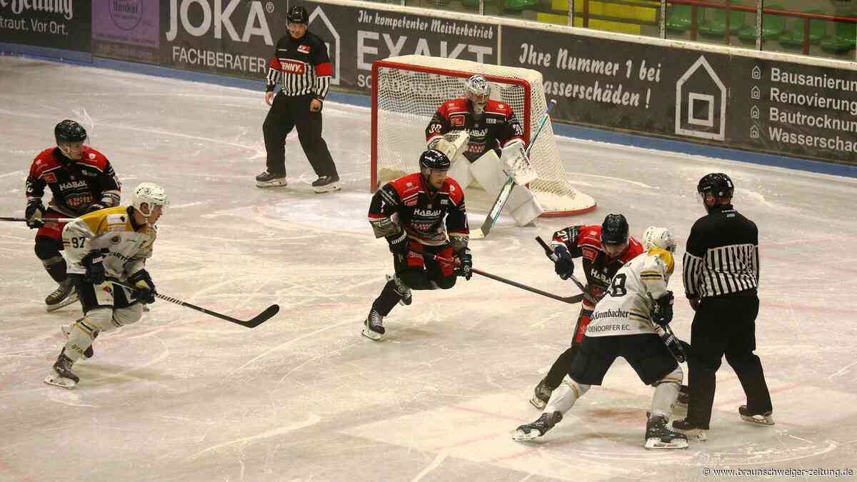 Steile Lernkurve: Warum die Harzer Falken selbst ihren Trainer überraschen