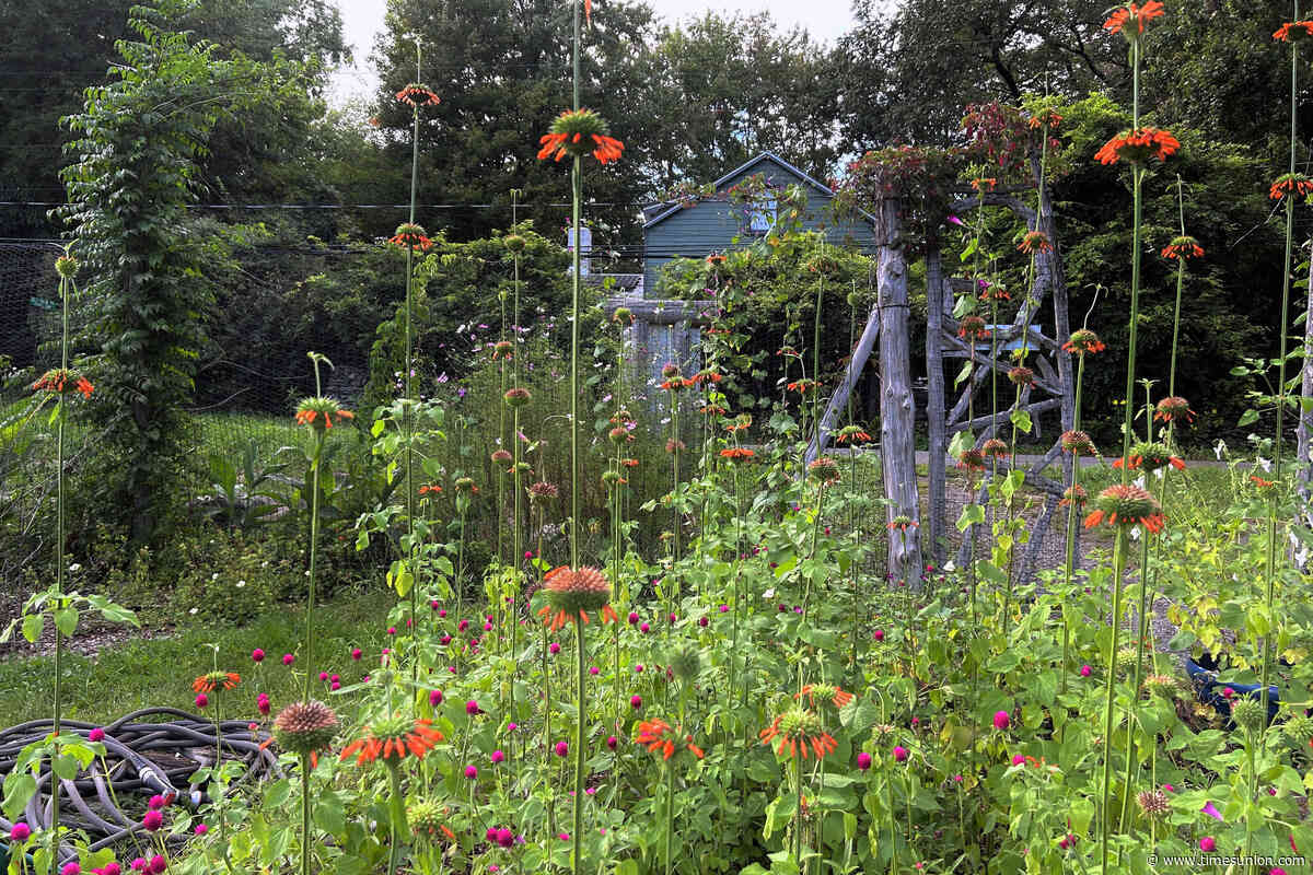They dreamed of living in a botanical garden. Then they built one.