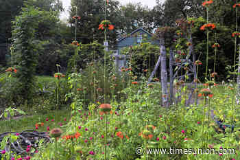 They dreamed of living in a botanical garden. Then they built one.