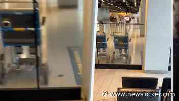 Passagiers gruwelen van rondrennende muizen in vertrekhal Schiphol