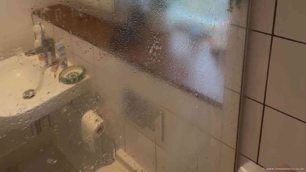 No scub shower cleaner is a genuine game-changer and makes glass sparkle