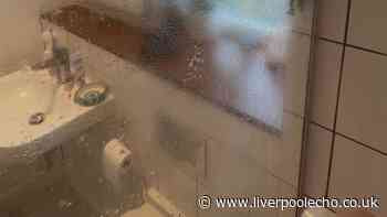 No scub shower cleaner is a genuine game-changer and makes glass sparkle
