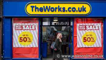 The Works says 'stop using it immediately' as toy pulled from shelves - full list of batch codes
