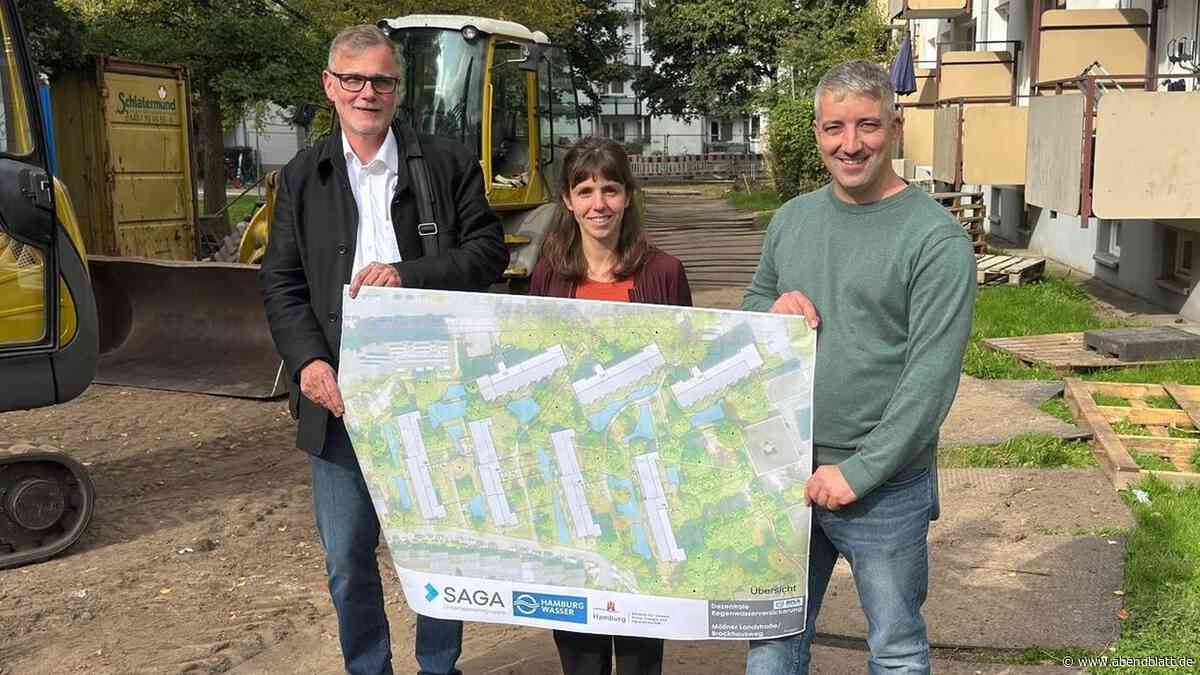 Wohnungen in Hamburg vor Starkregen schützen – so kann es funktionieren