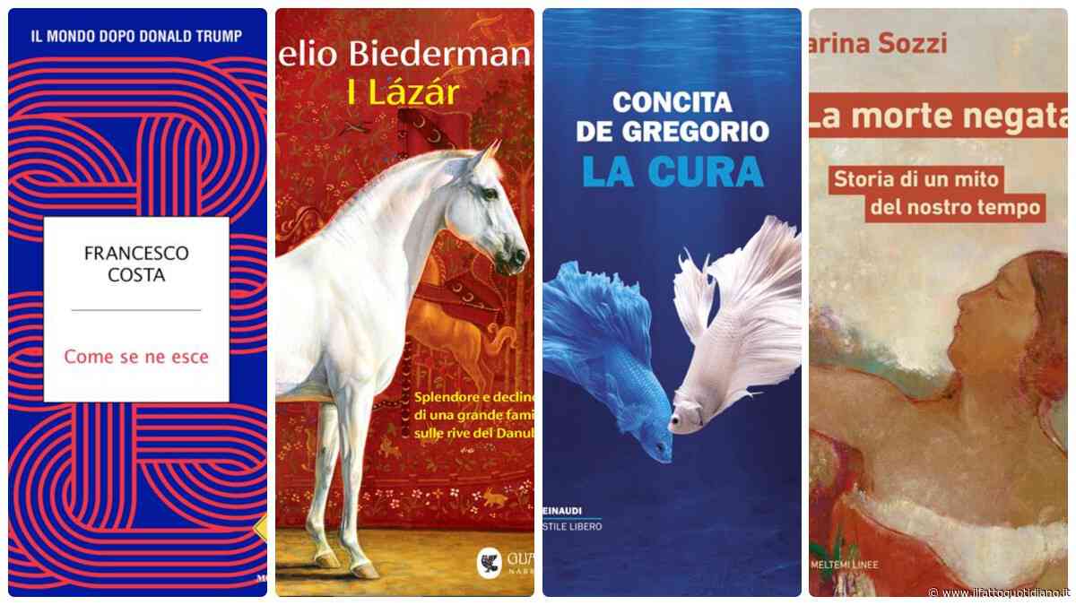 Da Concita De Gregorio al caso letterario “I Lázár”: 10 libri da leggere questo autunno