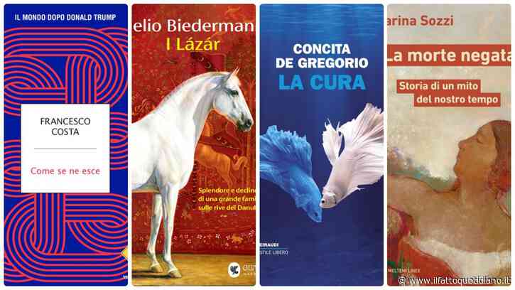 Da Concita De Gregorio al caso letterario “I Lázár”: 10 libri da leggere questo autunno