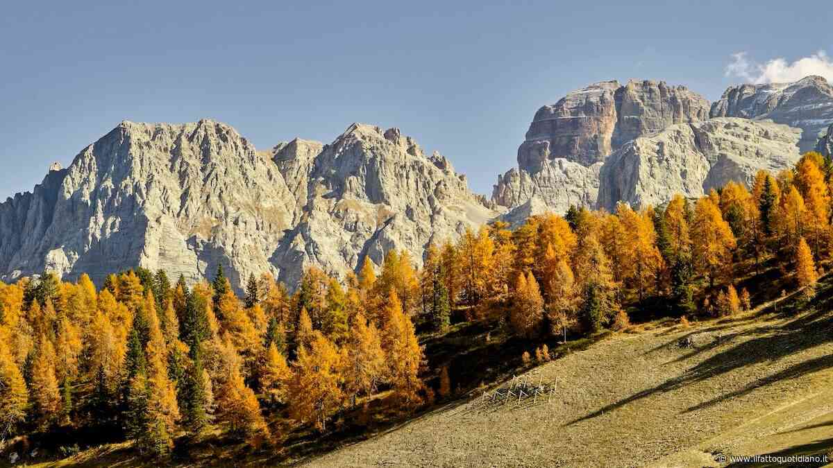 Dove andare in autunno in Italia? Dal bramito dei cervi al foliage, fino a sagre e terme: le gite fuori porta più belle da fare a ottobre