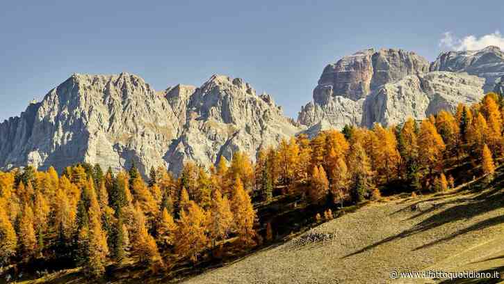 Dove andare in autunno in Italia? Dal bramito dei cervi al foliage, fino a sagre e terme: le gite fuori porta più belle da fare a ottobre