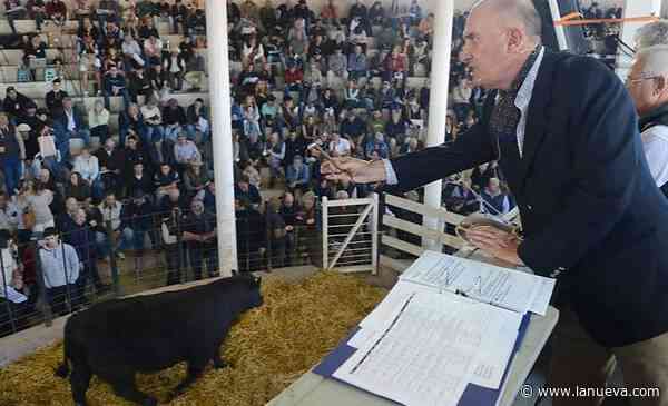 Bordeu 2026: las ventas de reproductores superaron los $ 2.000 millones