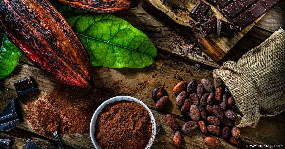 The future of cocoa: Why volatility’s here to stay