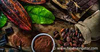 The future of cocoa: Why volatility’s here to stay