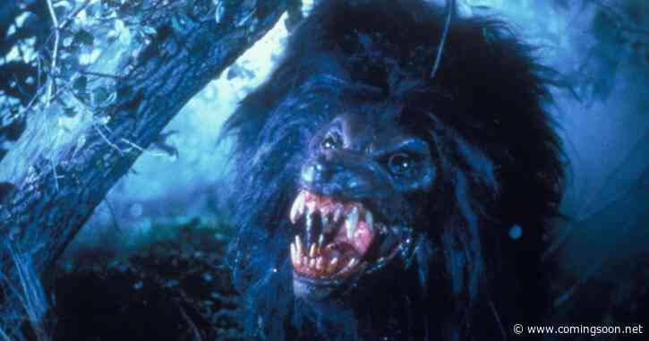 Werewolf Horror Movie That Has Fans of the Franchise Incredibly Divided Now Streaming for Free