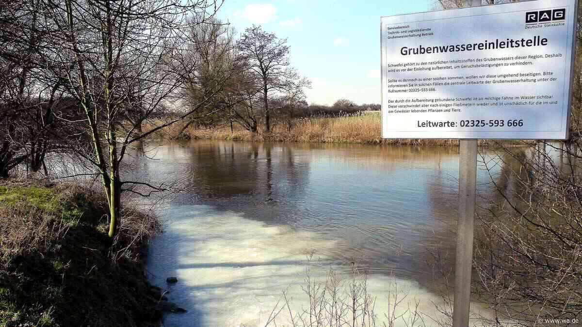 Umstrittenes Projekt: RAG leitet Grubenwasser in die Lippe – „wir sind absolut dagegen“