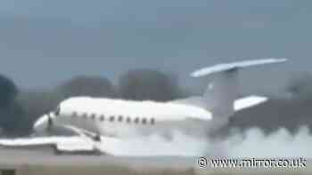Tanzania safari plane carrying 30 faces emergency after striking and killing zebra
