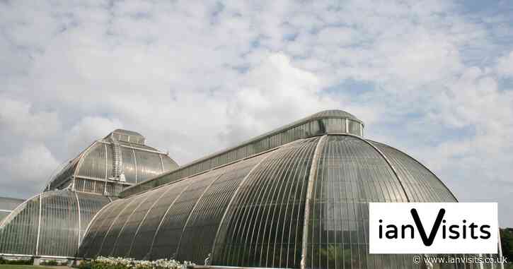 Kew Gardens to offer rare visits inside its emptied Palm House