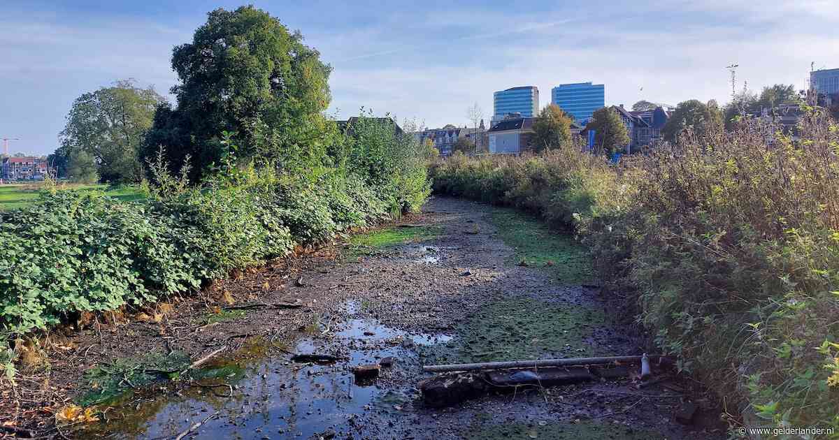 Ineens stroomt er geen water meer in de Jansbeek, maar dat ligt niet aan de droogte
