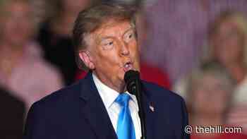 Trump won't reimburse government for controversial ads