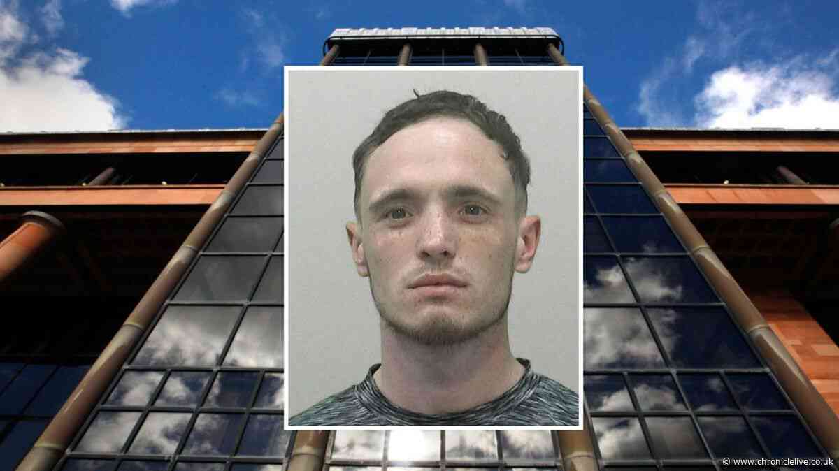 Tyneside thug violently attacked partner in street before spitting in face of police officer