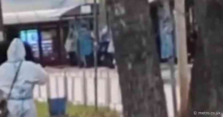 Russia’s patient zero had been working with ‘plague-infected squirrels’ before collapsing