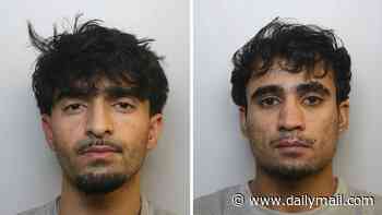 Four Afghans who fled UK in back of a lorry after gang-raping teenage girl they groomed with vodka and cigarettes jailed