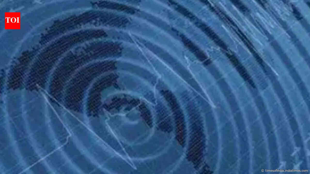 4.9-magnitude earthquake hits Uttarakhand's Chamoli, tremors felt in Delhi-NCR