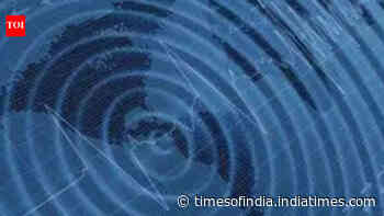 4.9-magnitude earthquake hits Uttarakhand's Chamoli, tremors felt in Delhi-NCR