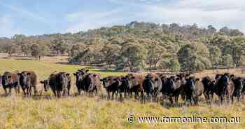 Wagyu prices are rebounding - but individual genetics, specs now matter