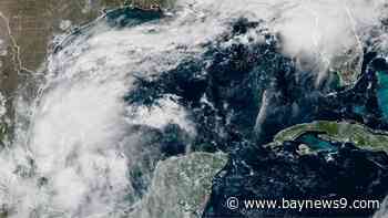A tropical depression is expected to form in the Gulf this week