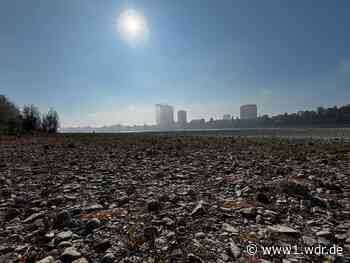 Warum im Rhein derzeit mehr Schadstoffe gemessen werden