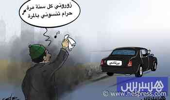 زائر كل خمس سنوات