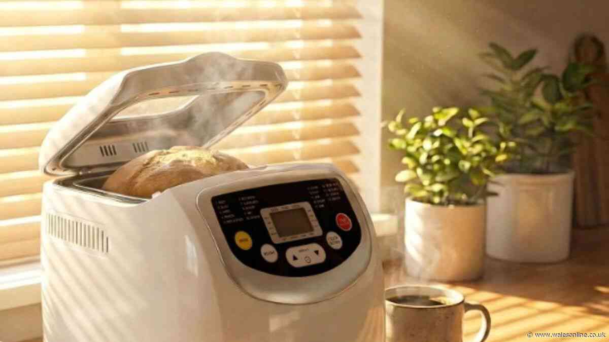 'Very impressive' bread maker drops to £59 ahead of Bake Off Bread Week