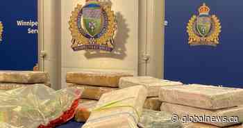 Winnipeg drug bust yields $1.5M worth of cocaine: police