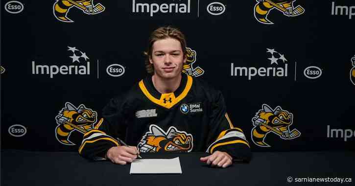 Sting sign Wallaceburg native after strong start