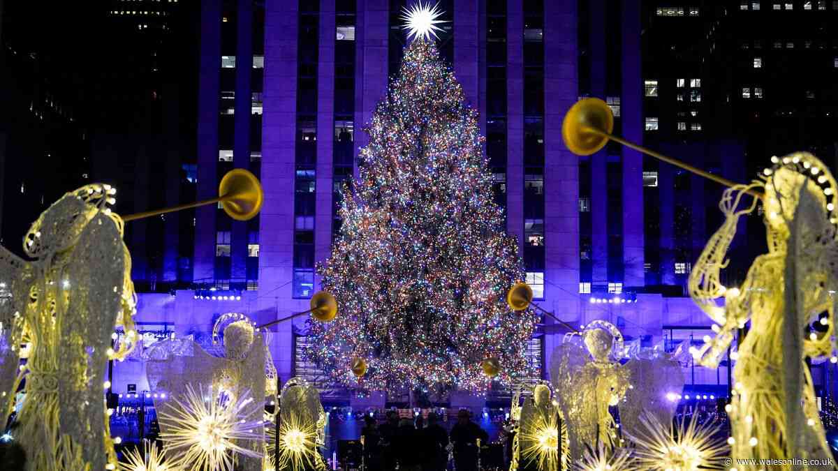 Wowcher's £99 mystery Christmas holiday could take you to New York, Lapland or Paris
