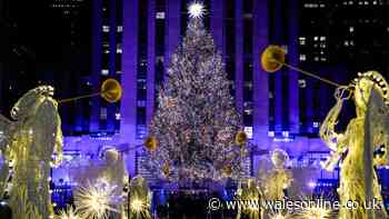 Wowcher's £99 mystery Christmas holiday could take you to New York, Lapland or Paris