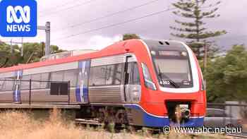 Some public transport trips are more expensive in Adelaide than anywhere else