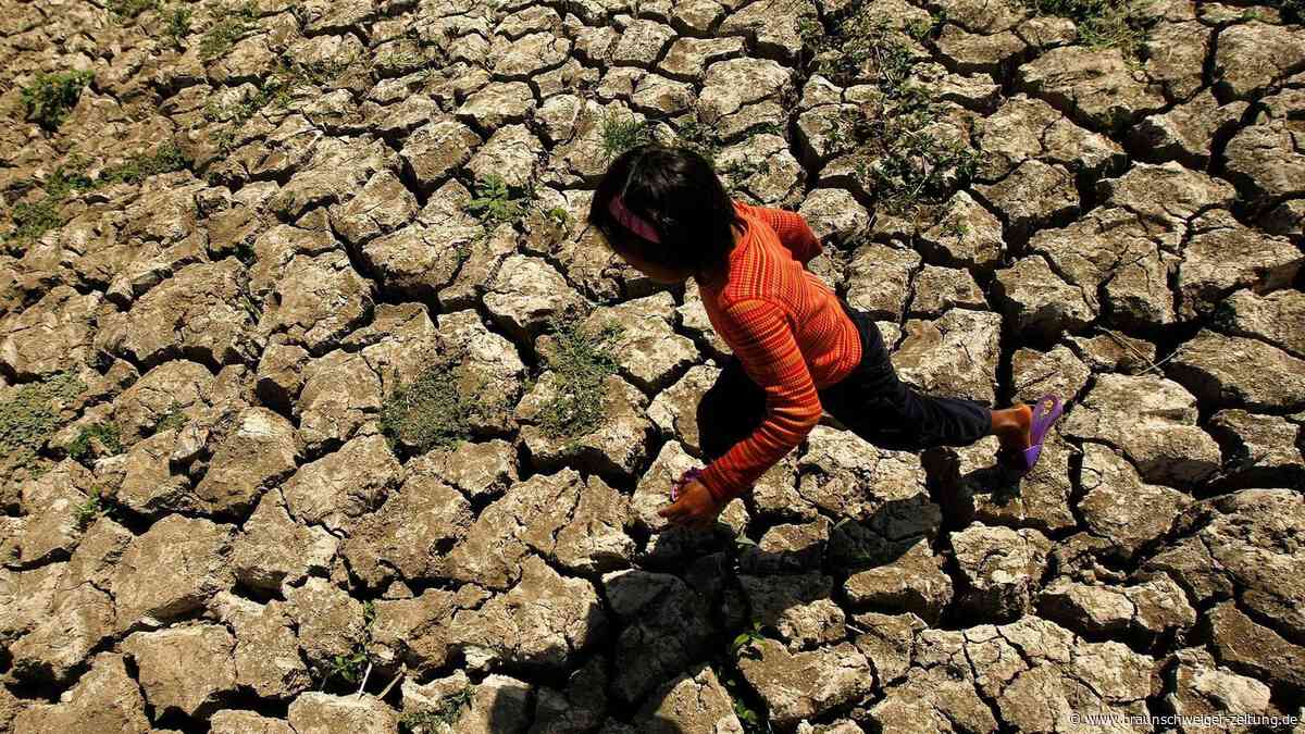 El Niño als Gesundheitsrisiko? Was Reisende jetzt beachten sollten