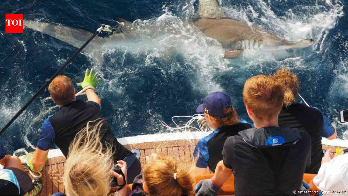 Two sisters turned their childhood love of the ocean into a 65-foot research yacht